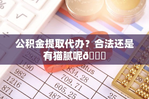 应县公积金提取代办？合法还是有猫腻呢😏